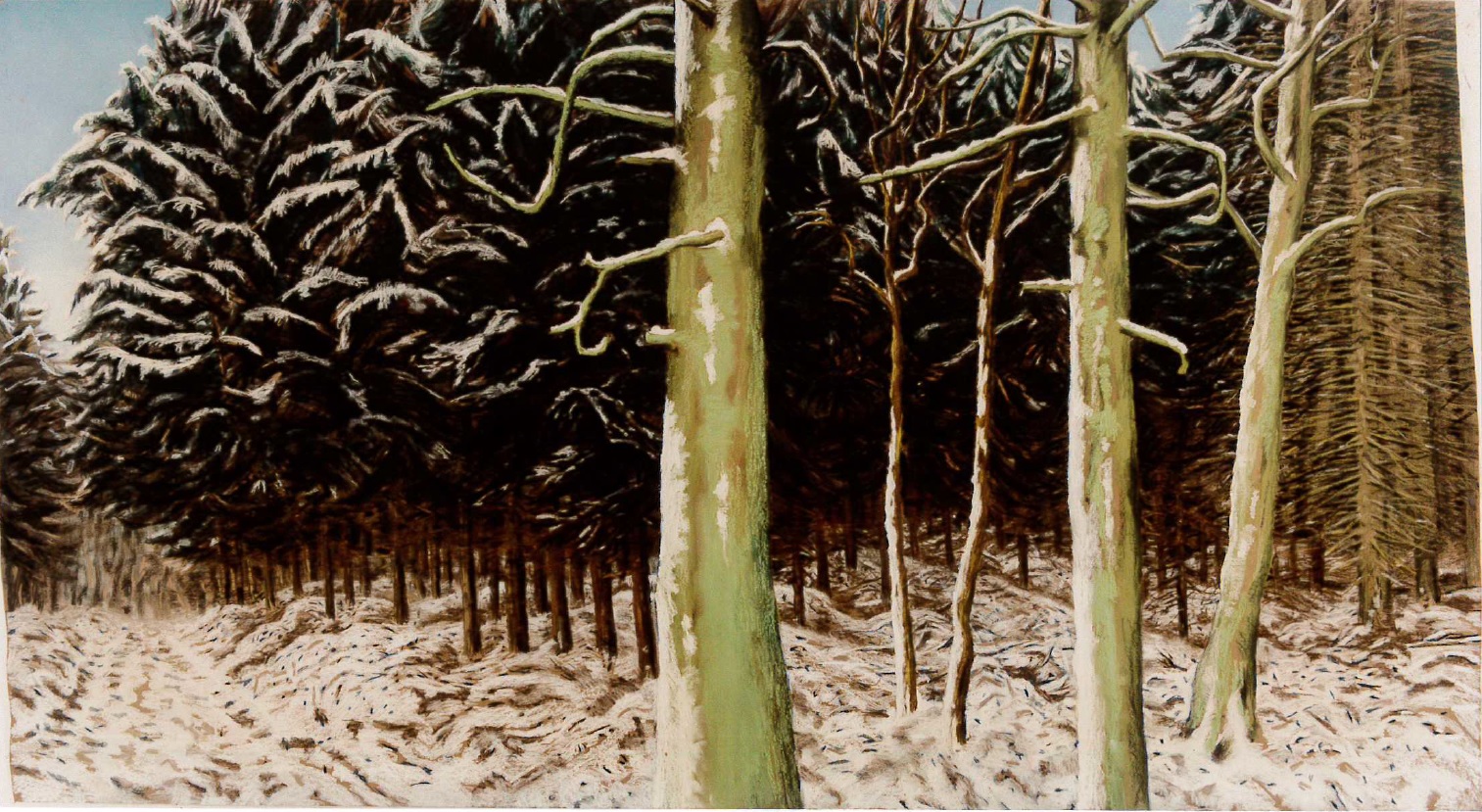 tekening zonder titel van Jacobien de Rooij (beeldt af: bomen in winterlandschap)